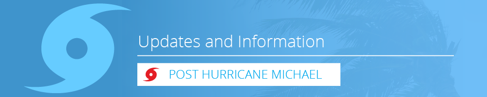Hurricane Michael Banner